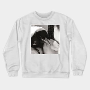 Sweet Baby Magpie Cuddles Crewneck Sweatshirt